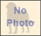 Otterhound Pictures 0