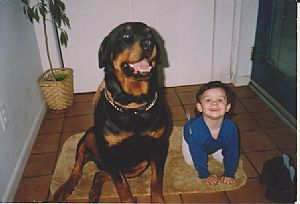 Rottweiler Pictures 703
