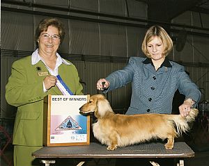 Vom Daxi Haus Lildoxis