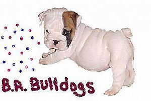 B.A. BULLDOGS