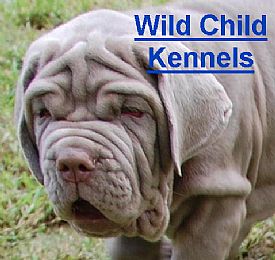 A Wild Child