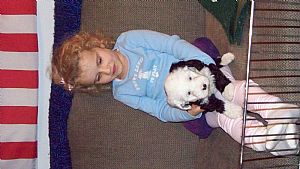 Tibetan Terrier