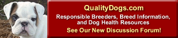 Responsible Dog Breeders